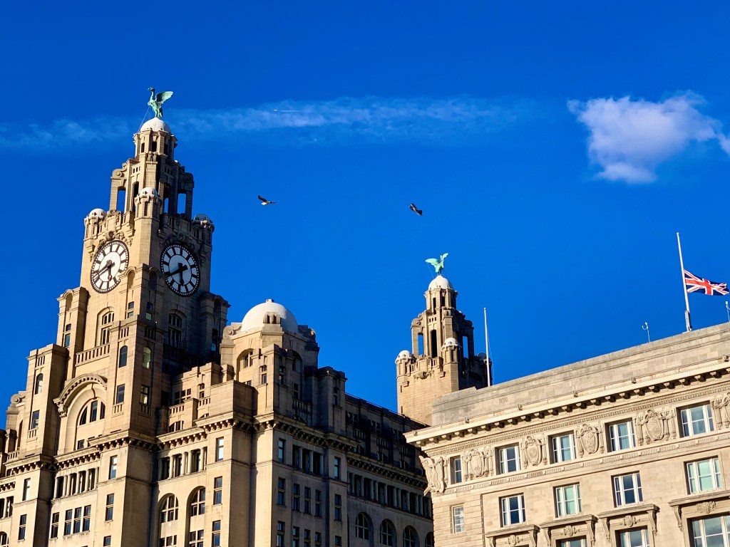 Liver Building